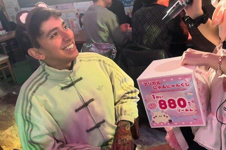 秋葉原プライベートツアー：アニメ、ポケモン、メイドカフェ＆カルチャー