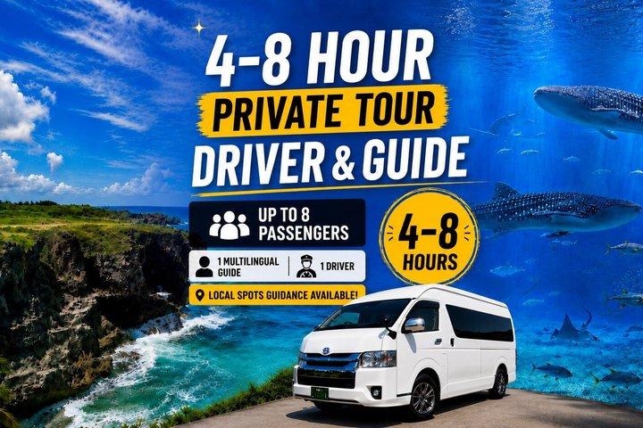Okinawa Private Tour—Driver and Guide Included 1–8 Guests(4-8H)