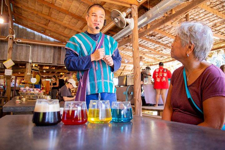 プライベート終日ドイインタノンピークとチェンマイからの滝
