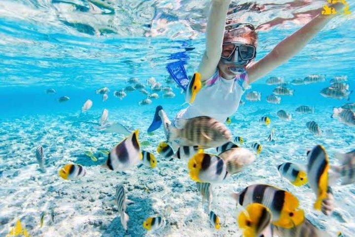Blue Lagoon Snorkeling & East Bali Sightseeing Tour