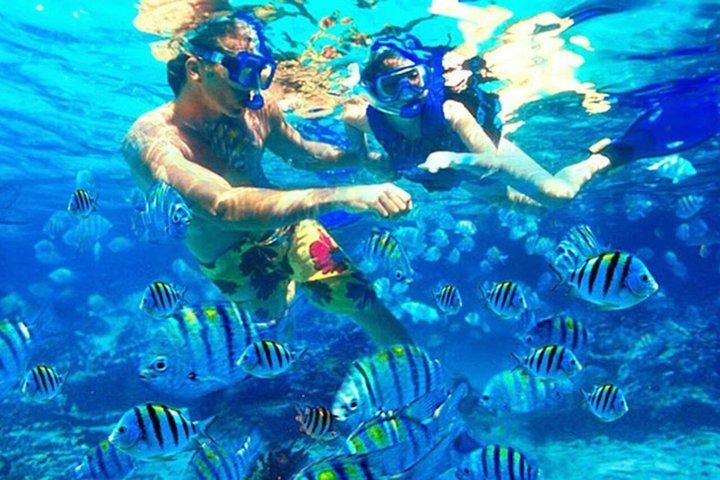 Blue Lagoon Snorkeling & East Bali Sightseeing Tour