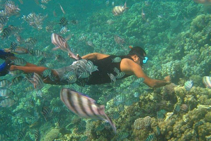 ニャチャン海洋冒険ツアー（釣りとビーチBBQ付き）