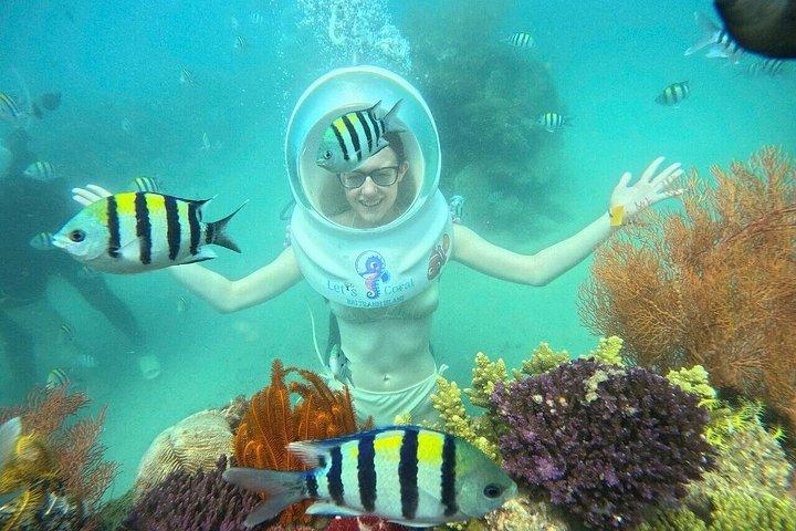 ニャチャン島ツアー（シーウォーキングとシーフードランチ付き）