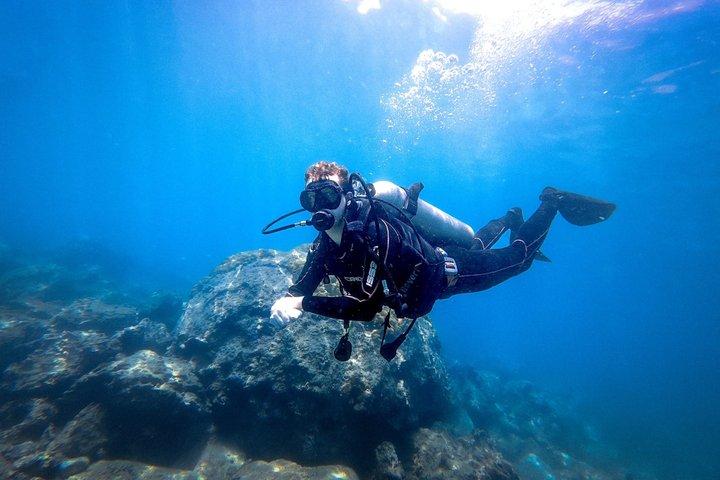 Buceo en la bahía de Nha Trang con exploración de arrecifes de coral