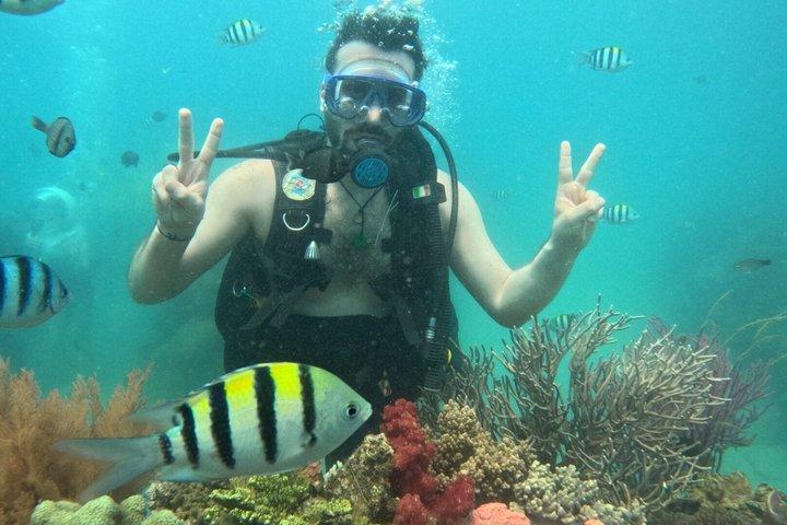Scuba Diving in Nha Trang Bay with Coral Reef Exploration