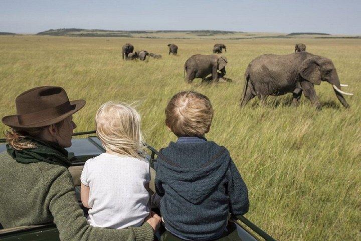 ザンジバルからミクミ国立公園へのフライイン終日サファリ