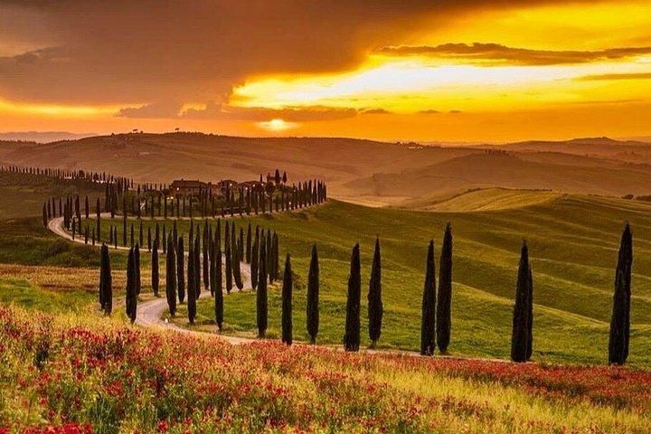 Chianti solnedgångstur Vinprovning och middag i Toscana