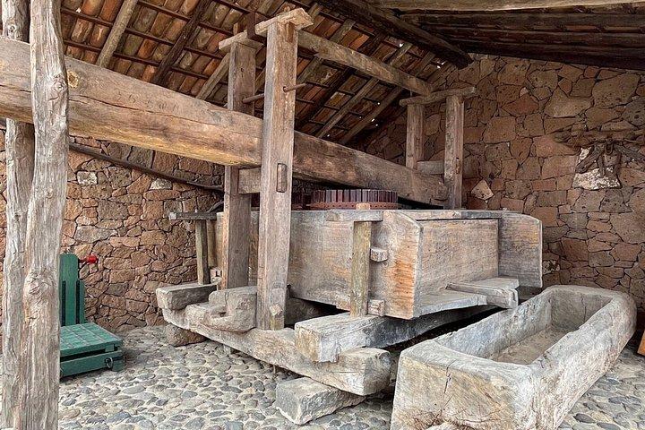 カナリア諸島のワインツアーとテネリフェ島のバナナ農園