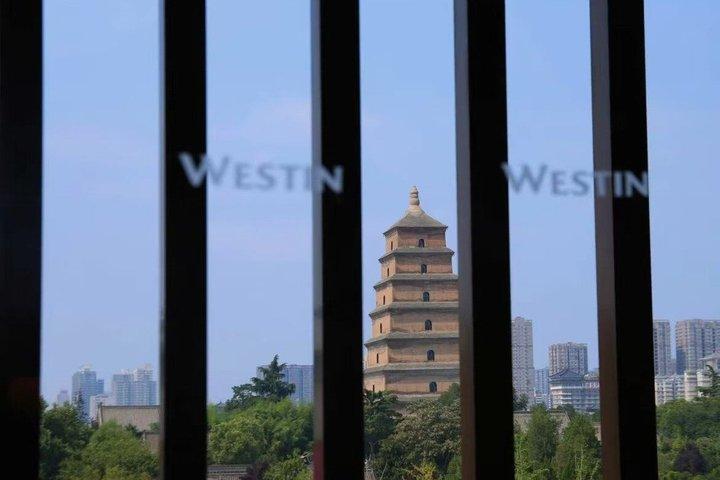 Giant Wild Goose Pagoda billet og Westin luksusbuffet (L/D)