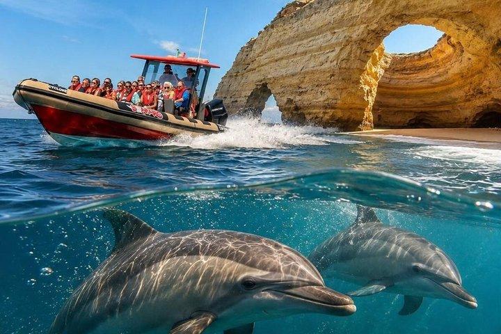 Combo Benagil Caves + Dolphin Watching with Marine Biologist