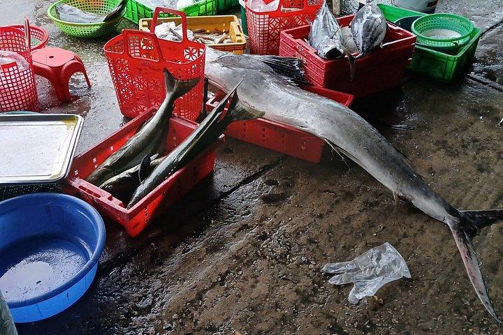 日の出パドルで魚市場へ