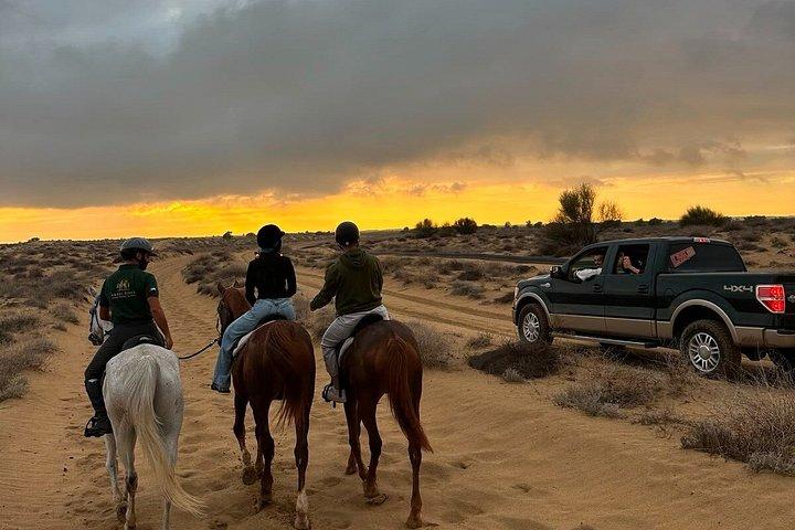 Desert and Beach Horse Ride Guided Adventure