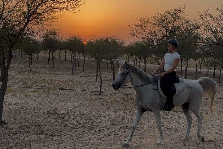 Desert and Beach Horse Ride Guided Adventure