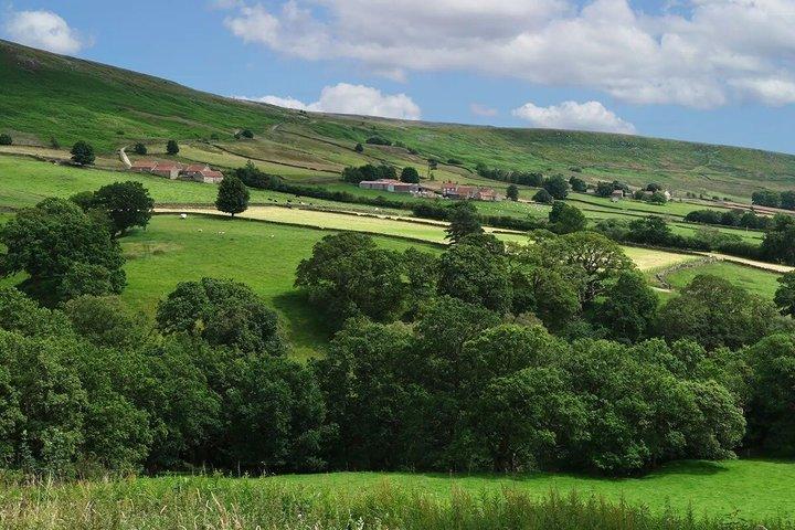 Middagtour naar North York Moors National Park