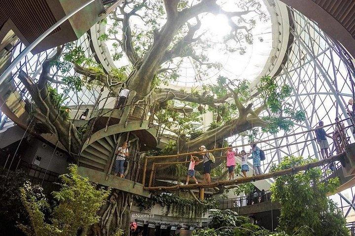 Green Planet Dubai Indoor Rainforest Entry Tickets