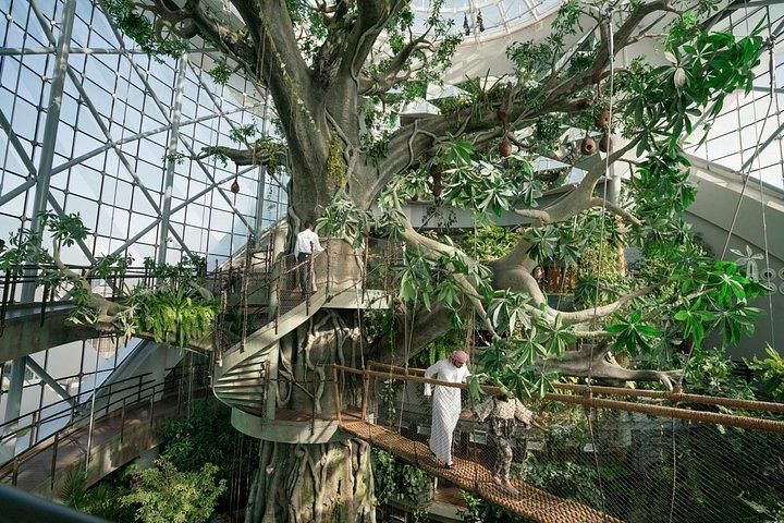 Green Planet Dubai Indoor Rainforest Entry Tickets