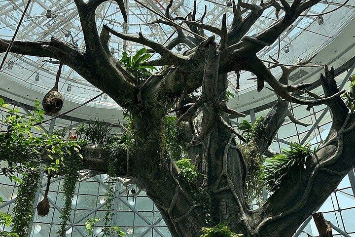 Green Planet Dubai Indoor Rainforest Entry Tickets