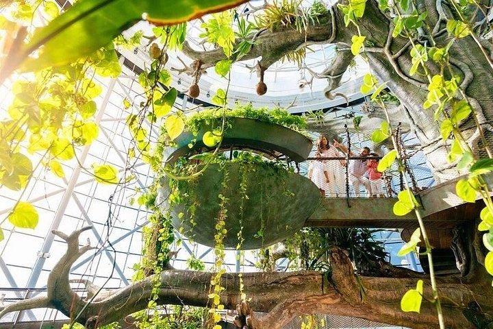 Green Planet Dubai Indoor Rainforest Entry Tickets