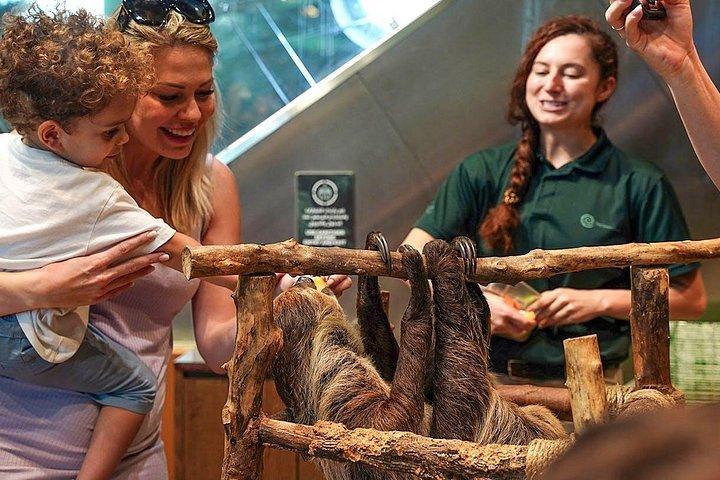 Green Planet Dubai Indoor Rainforest Entry Tickets