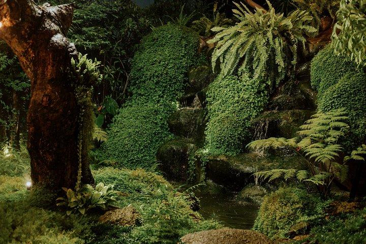 Green Planet Dubai Indoor Rainforest Entry Tickets