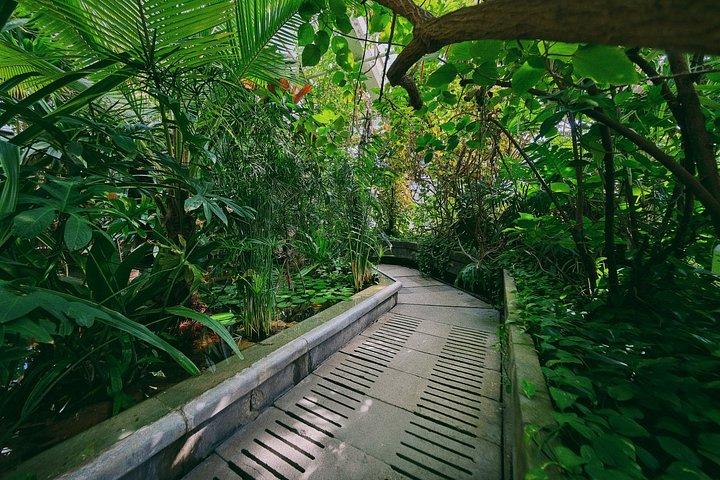 Green Planet Dubai Indoor Rainforest Entry Tickets