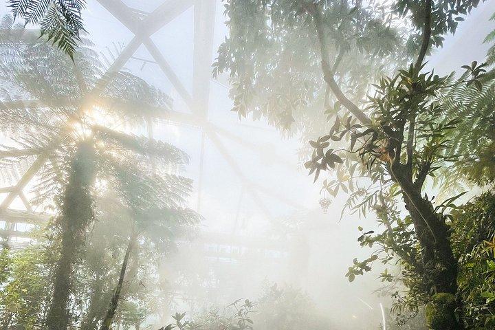 Green Planet Dubai Indoor Rainforest Entry Tickets