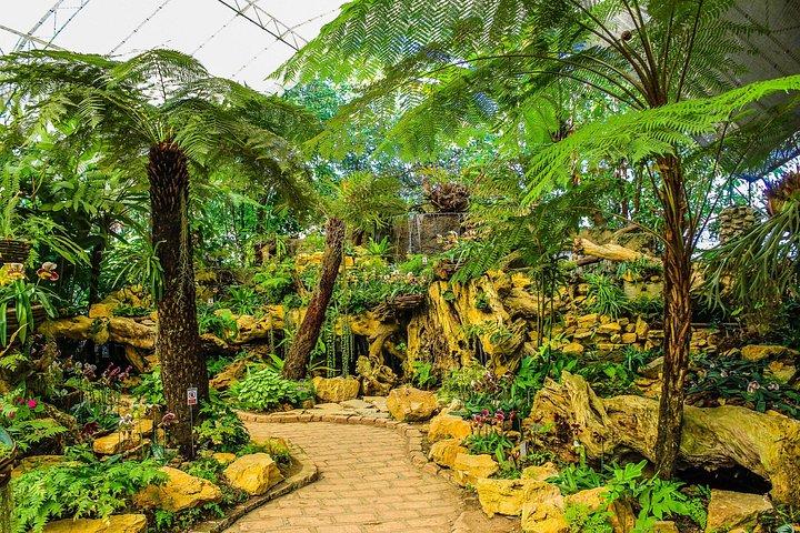 Green Planet Dubai Indoor Rainforest Entry Tickets