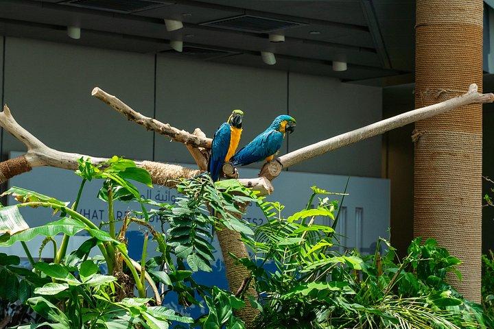 Green Planet Dubai Indoor Rainforest Entry Tickets