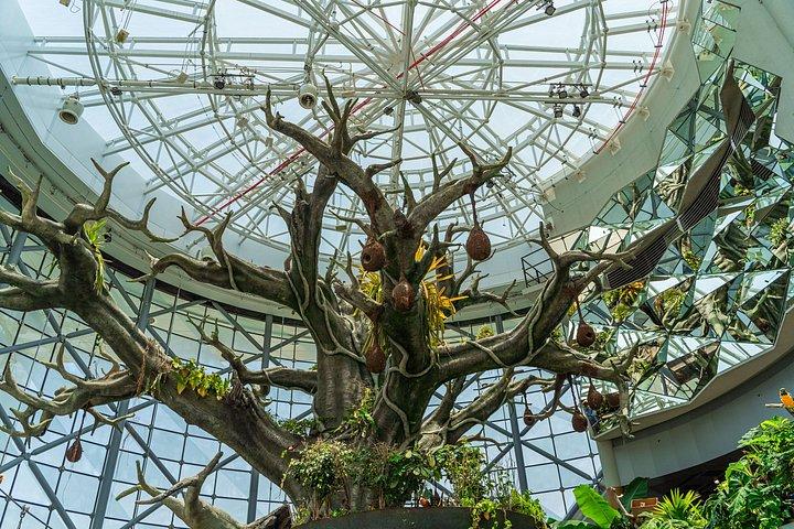Green Planet Dubai Indoor Rainforest Entry Tickets