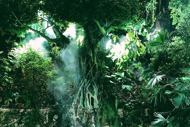 Green Planet Dubai Indoor Rainforest Entry Tickets