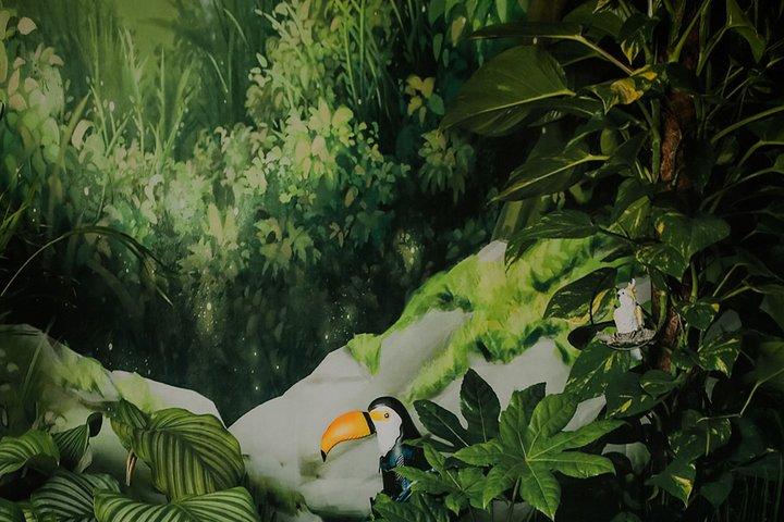 Green Planet Dubai Indoor Rainforest Entry Tickets