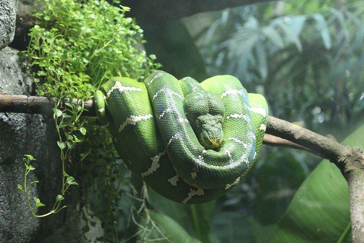 Green Planet Dubai Indoor Rainforest Entry Tickets