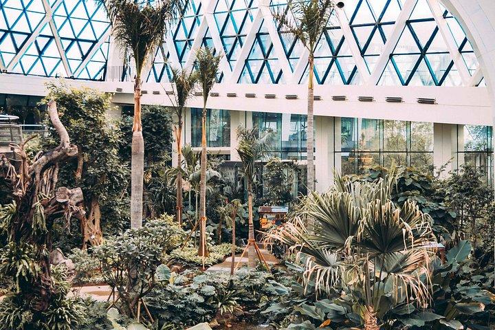 Green Planet Dubai Indoor Rainforest Entry Tickets