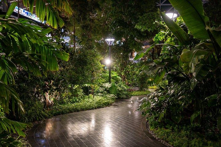 Green Planet Dubai Indoor Rainforest Entry Tickets