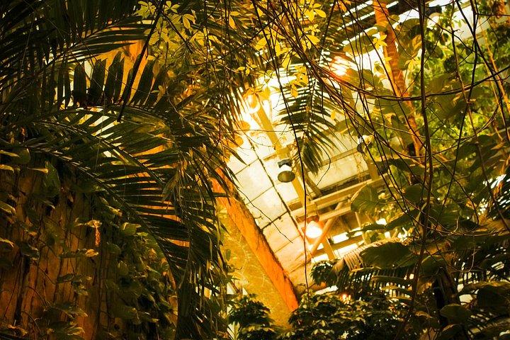 Green Planet Dubai Indoor Rainforest Entry Tickets