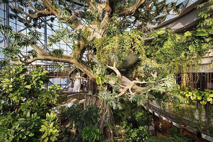 Green Planet Dubai Indoor Rainforest Entry Tickets