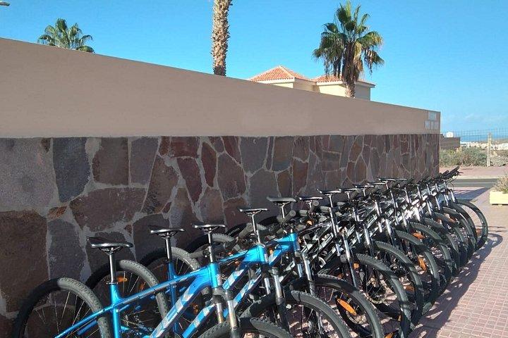 マウンテンバイクレンタルテネリフェ