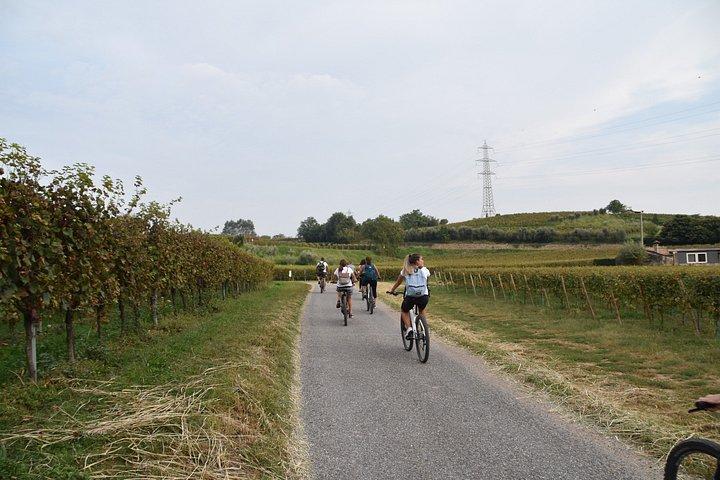 Perugia: E-Bike-Tour & Weinverkostung