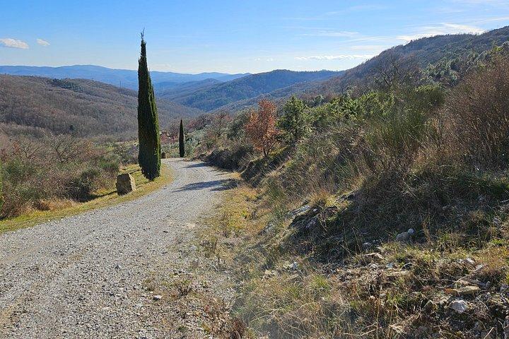 Perugia: E-Bike-Tour & Weinverkostung