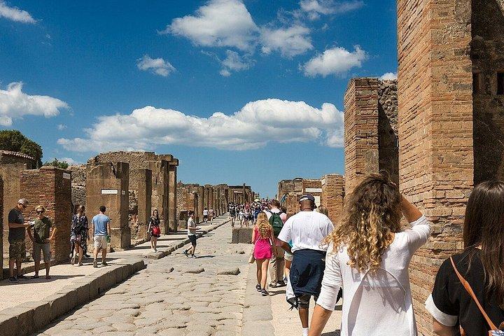 ローマ発ポンペイ遺跡とヴェスヴィオ火山ツアー