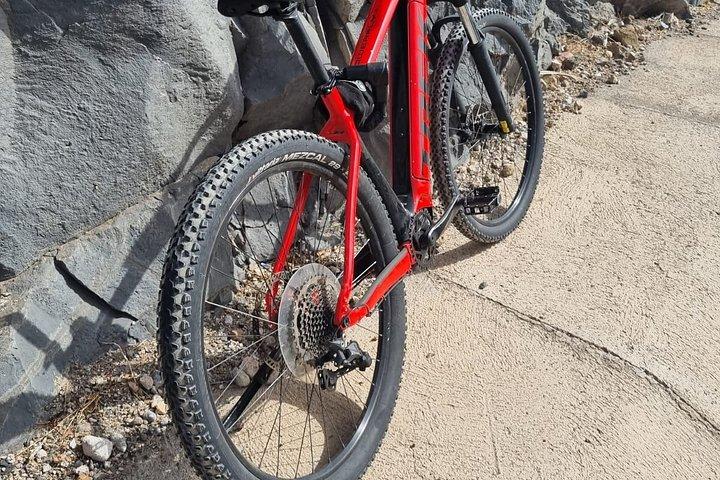 電動マウンテンバイクレンタルテネリフェ