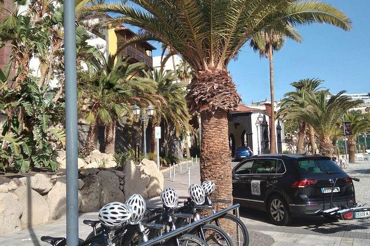 電動マウンテンバイクレンタルテネリフェ