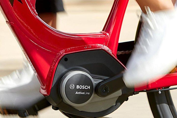 電動シティバイクレンタルテネリフェ