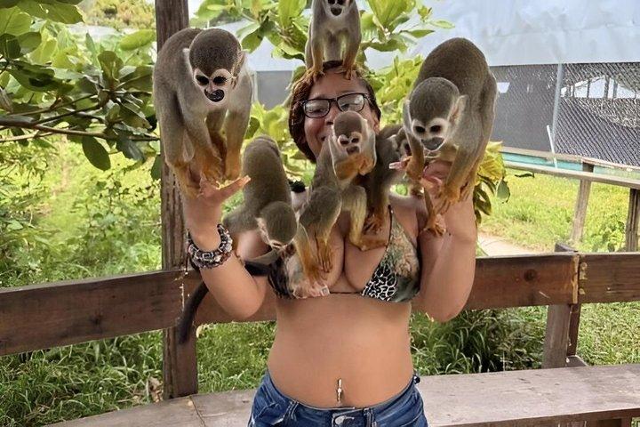 Puerto Plata Adventure 27 Waterfalls with Monkey Sanctuary Tour