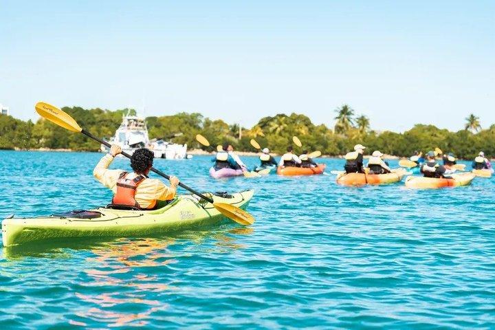 Oleta River State Park Schnorchelabenteuer Kajaktour
