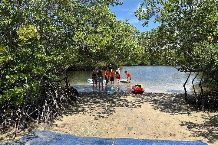 Oleta River State Park Schnorchelabenteuer Kajaktour