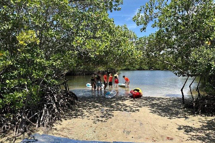 Oleta River State Park Guided Eco Tour