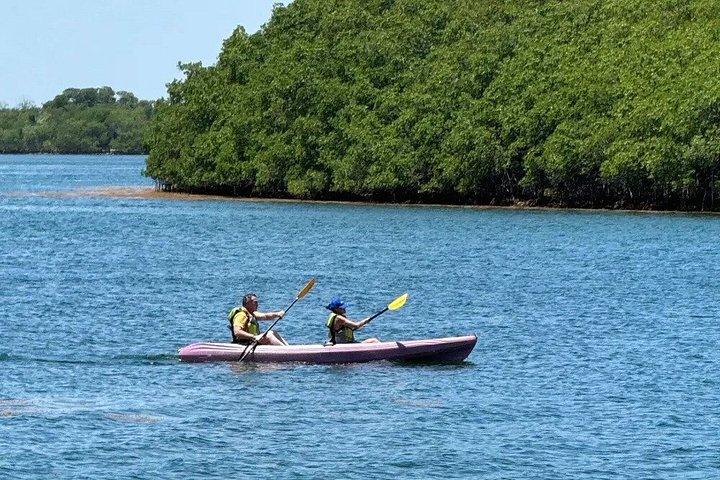 Oleta River State Park Guided Eco Tour