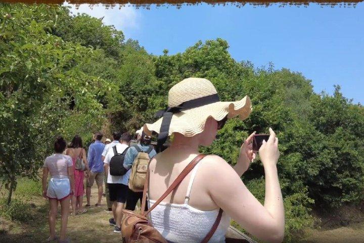 Sorrento Farm Day Tour: Classe de Pizza, Fazendo Queijo, Vinho, Pickup