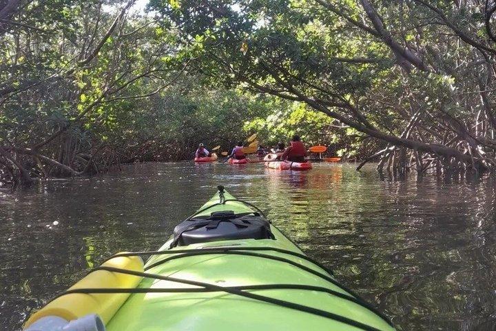 Oleta River State Park Tandem Kayak Rentals